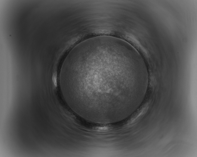 X0000093400068200710121106