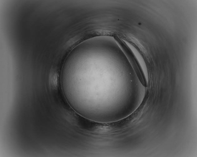 X0000093400071200710121106