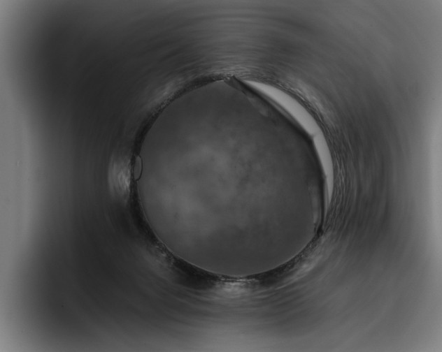 X0000093400072200710121106