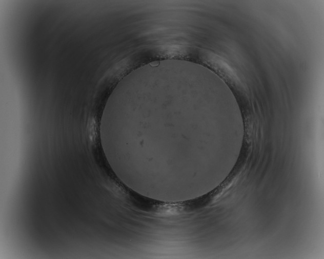 X0000093400077200710121106