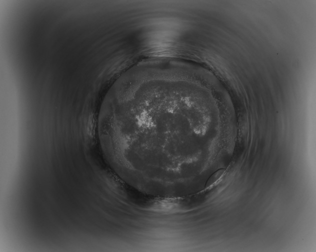 X0000093400078200710121106