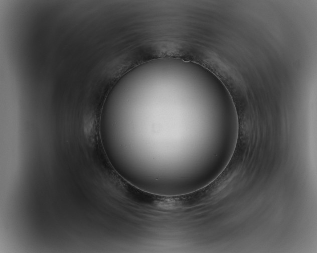 X0000093400079200710121106
