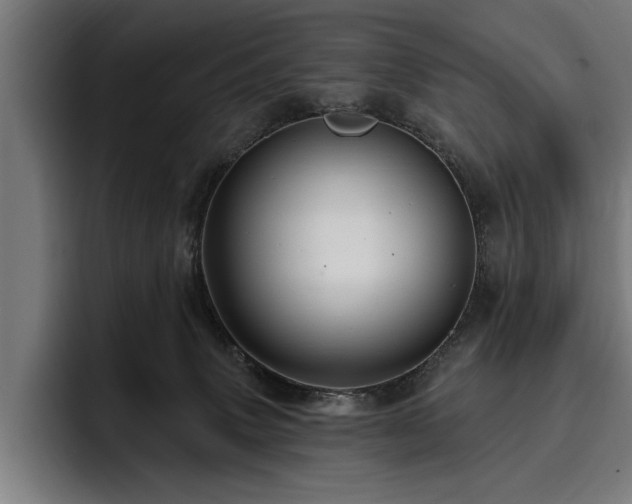 X0000093400083200710121106