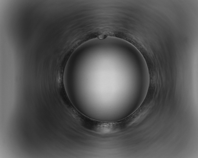 X0000093400084200710121106