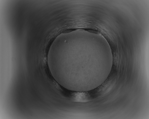 X0000093400085200710121106