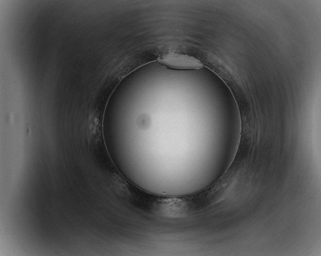 X0000093400087200710121106