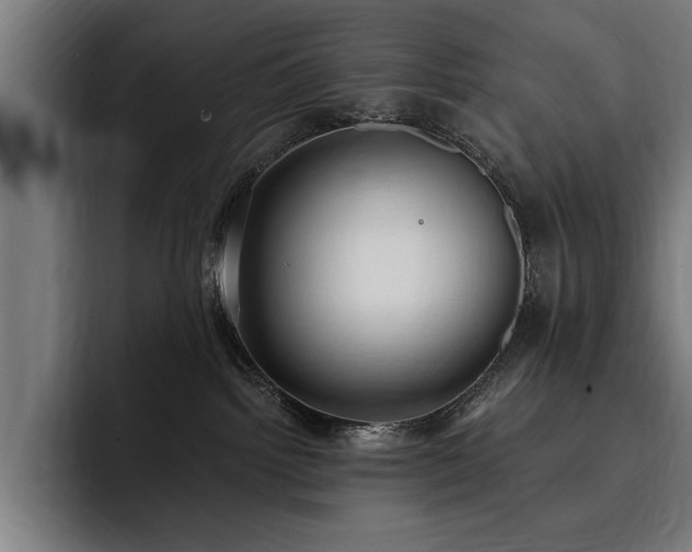 X0000093400092200710121106