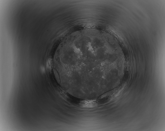 X0000093400093200710121106