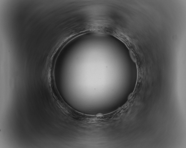 X0000093400098200710121106