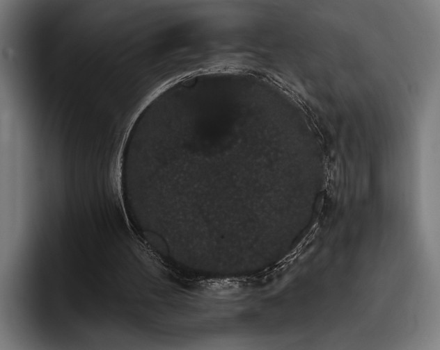 X0000093400100200710121106