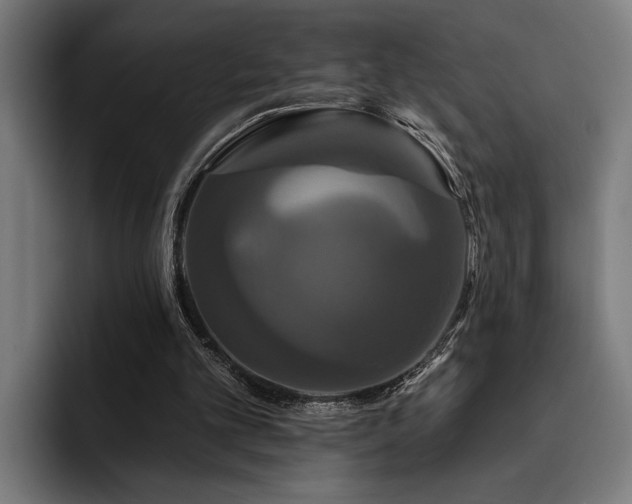 X0000093400101200710121106