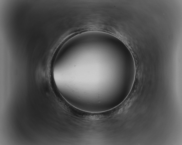 X0000093400103200710121106