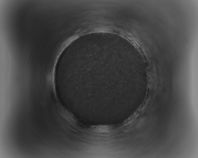 X0000093400104200710121106