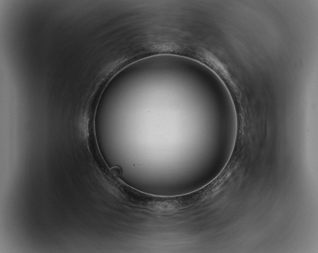 X0000093400106200710121106