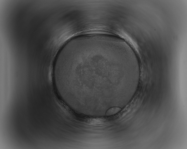 X0000093400107200710121106