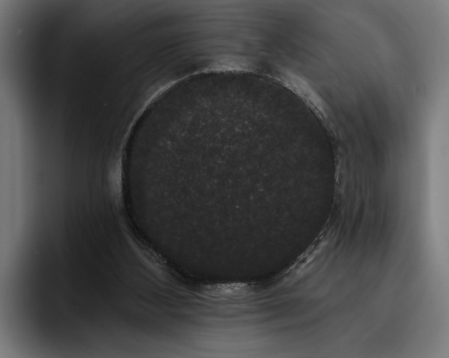 X0000093400108200710121106