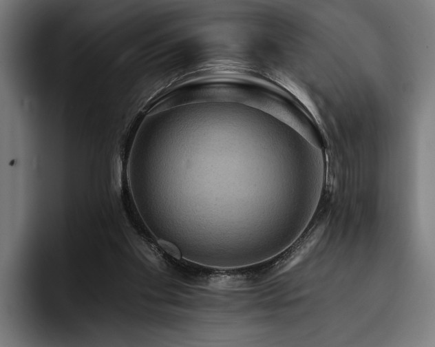 X0000093400109200710121106