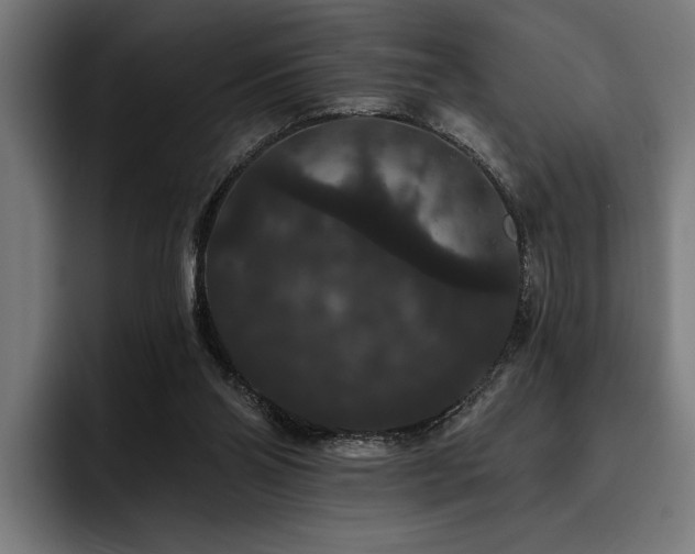 X0000093400110200710121106