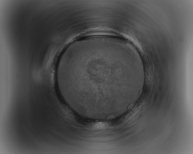 X0000093400111200710121106