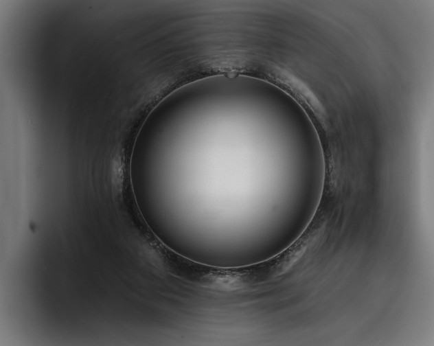 X0000093400113200710121106