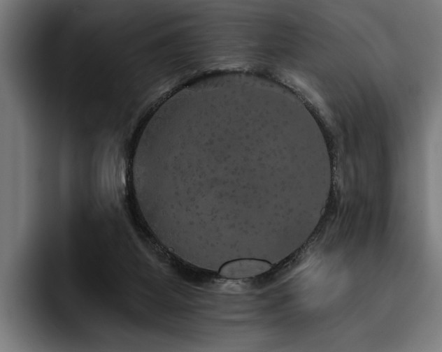 X0000093400115200710121106