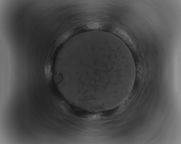 X0000093400116200710121106