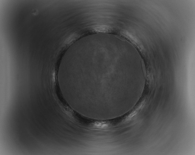 X0000093400117200710121106