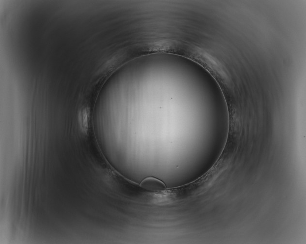 X0000093400118200710121106