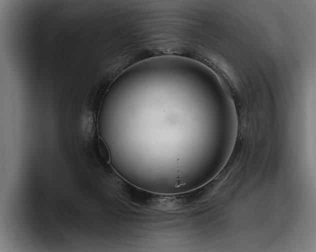 X0000093400121200710121106