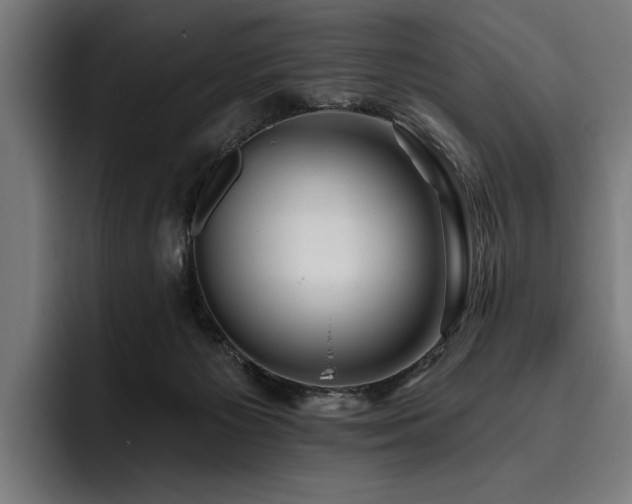 X0000093400125200710121106