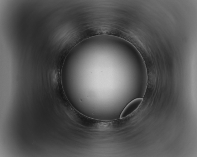 X0000093400126200710121106