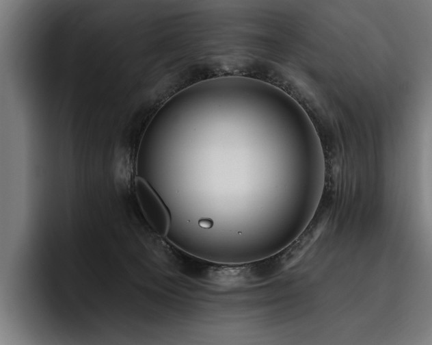 X0000093400129200710121106