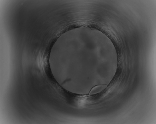 X0000093400131200710121106
