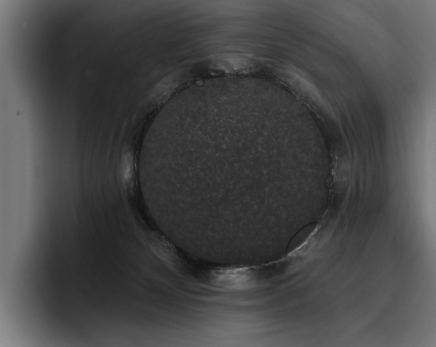 X0000093400132200710121106