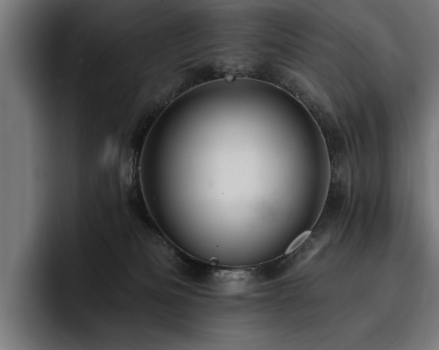 X0000093400133200710121106
