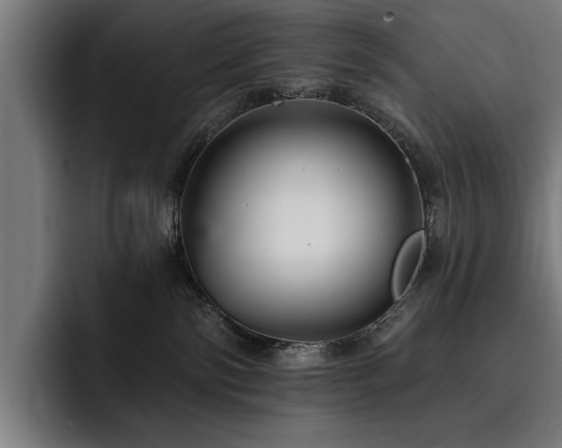 X0000093400138200710121105