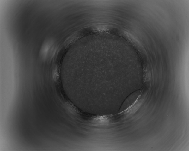 X0000093400140200710121105