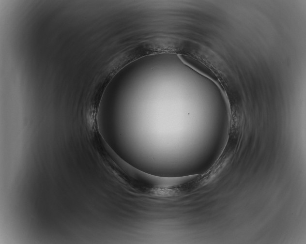 X0000093400141200710121105