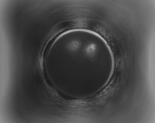 X0000093400146200710121105