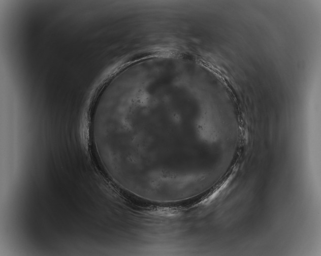 X0000093400149200710121105