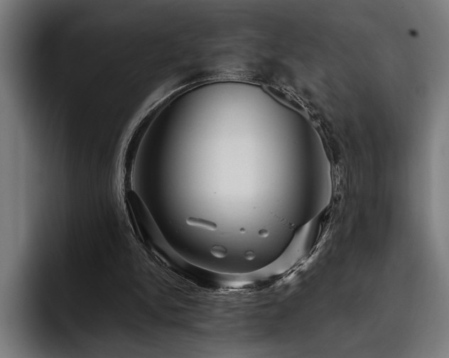 X0000093400150200710121105