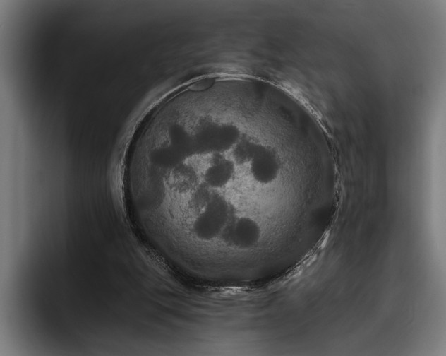 X0000093400151200710121105