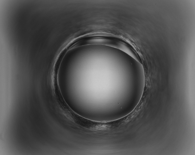 X0000093400152200710121105