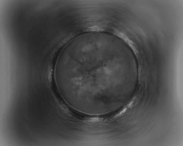 X0000093400153200710121105