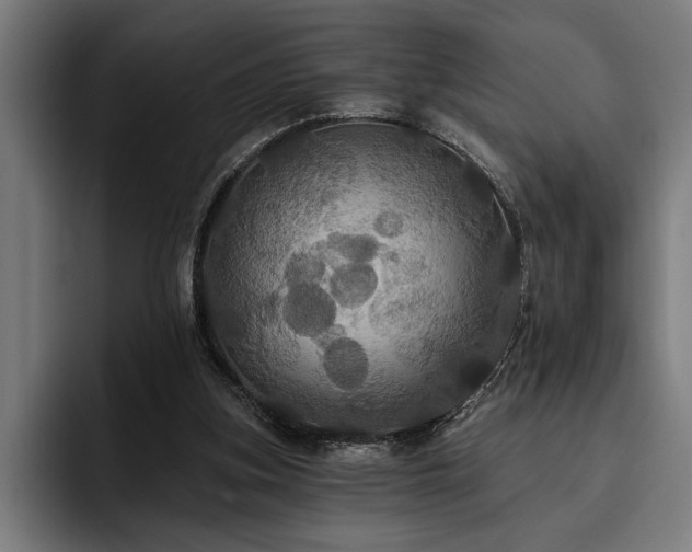 X0000093400155200710121105