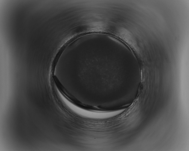 X0000093400156200710121105