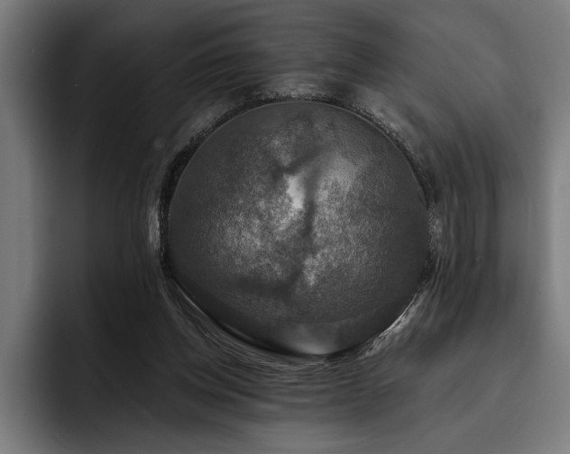 X0000093400158200710121105