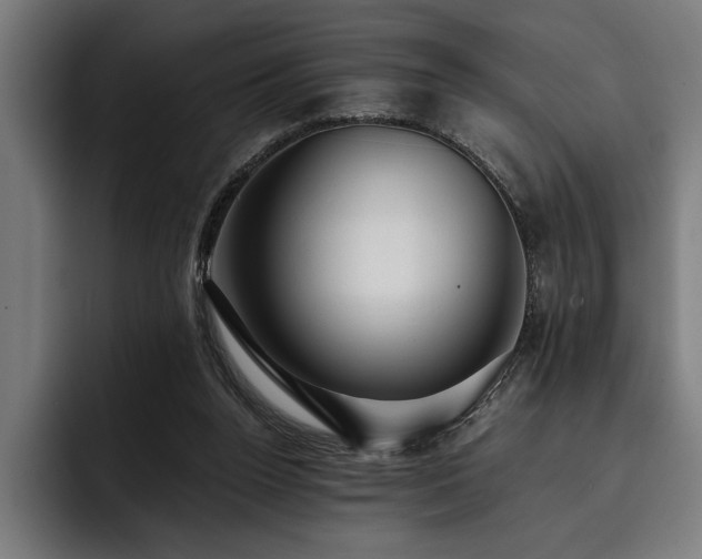 X0000093400160200710121105