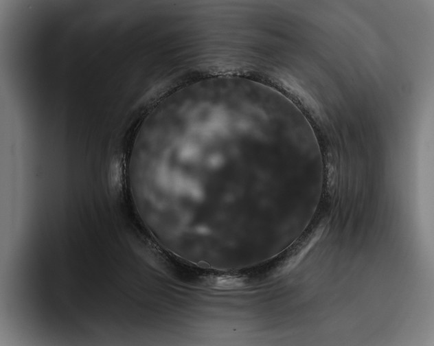 X0000093400165200710121105