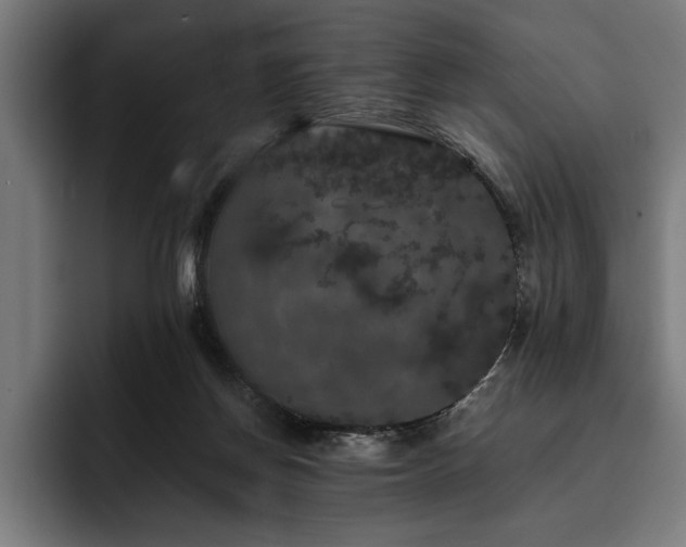 X0000093400166200710121105
